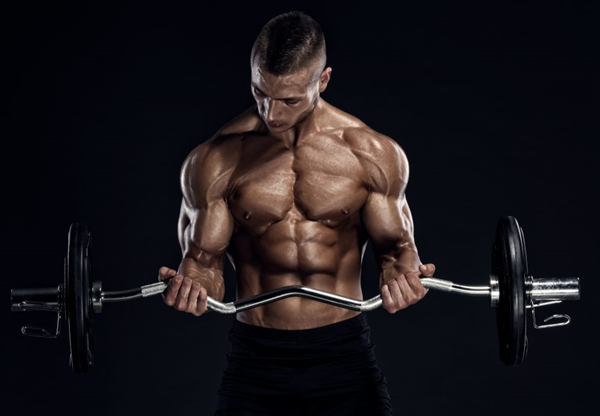 Excellent Tips for Selecting Testosterone Supplements