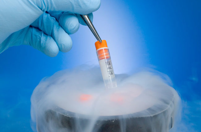 Debunking Common Myths About Egg Freezing