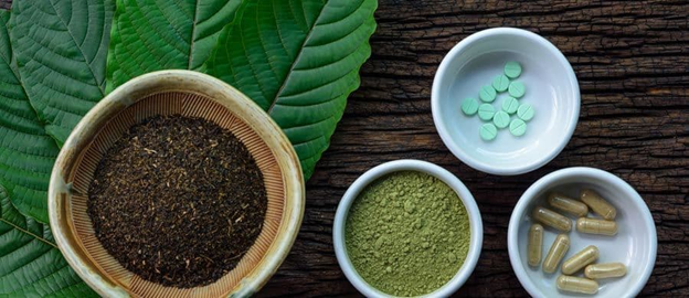 Exploring TheBest Places To Buy Kratom Online