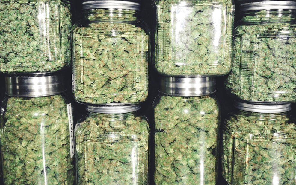 7 Benefits Of Buying Bulk Buds From A Dispensary