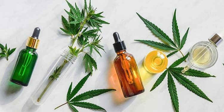 THC vs. CBD: What Are the Differences?