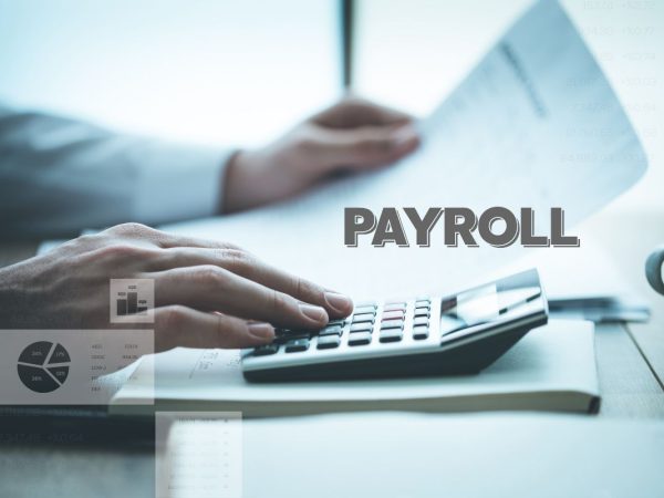 Qualities to Look for in a Good Payroll Service 